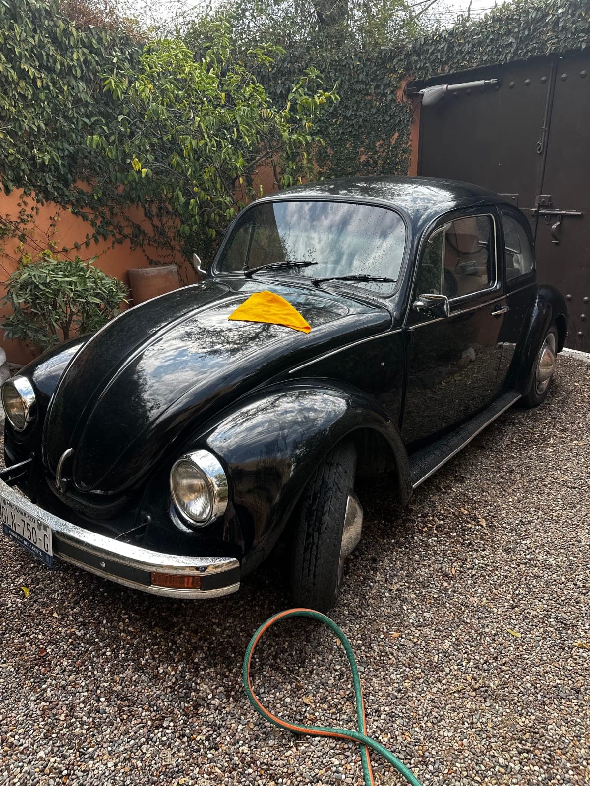 Volkswagen Beetle spotted in San Miguel de Allende