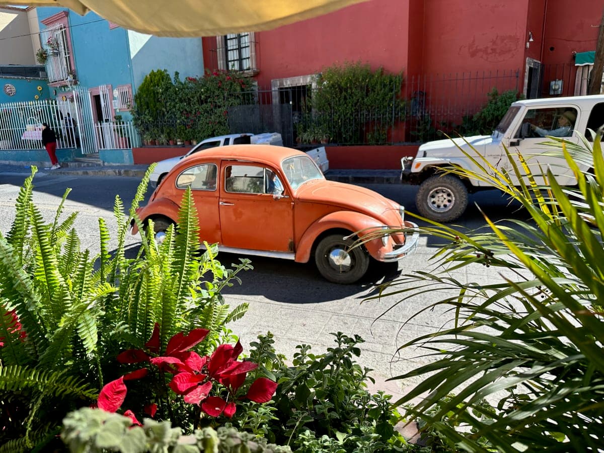 Volkswagen Beetle spotted in San Miguel de Allende