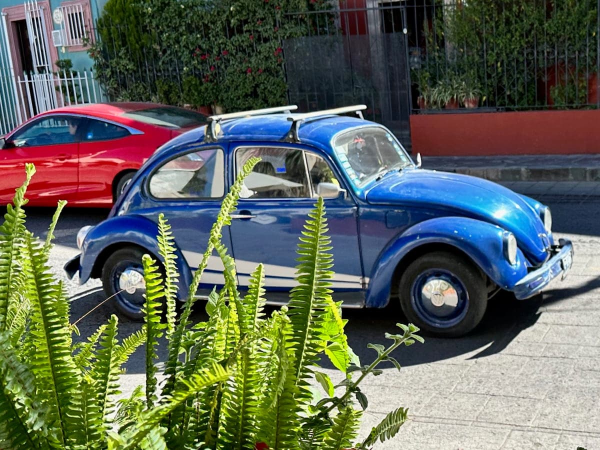 Volkswagen Beetle spotted in San Miguel de Allende